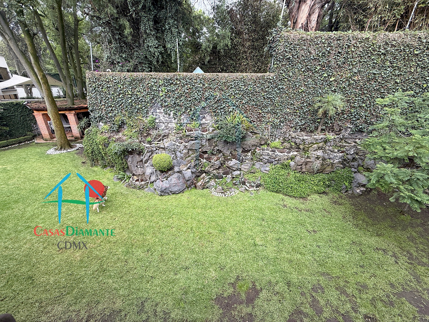 Jardines del Pedregal Casa Alan ACJ - Jardín 13